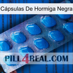 Cápsulas De Hormiga Negra viagra1